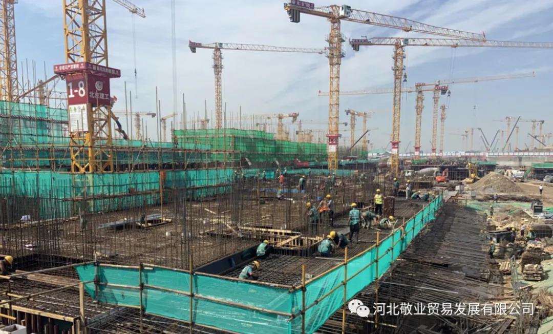 上海国贸公司木业部成功助力雄安新区建设